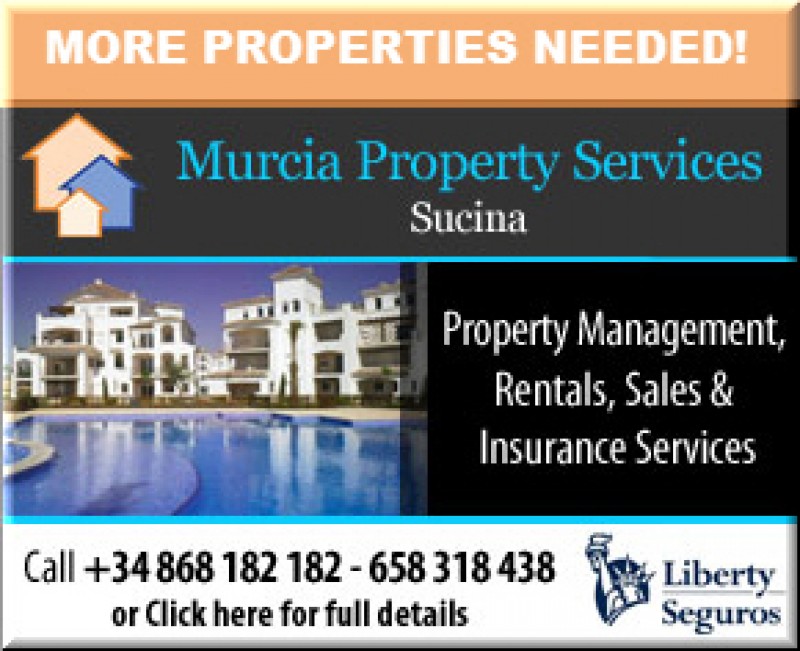 Murcia Property Services: Sales, rentals, property management and more