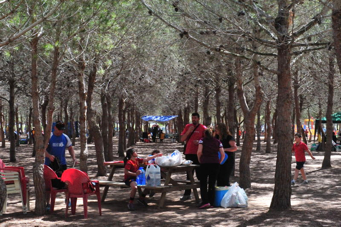 Municipal camping area, Lo Albentosa, Torrevieja