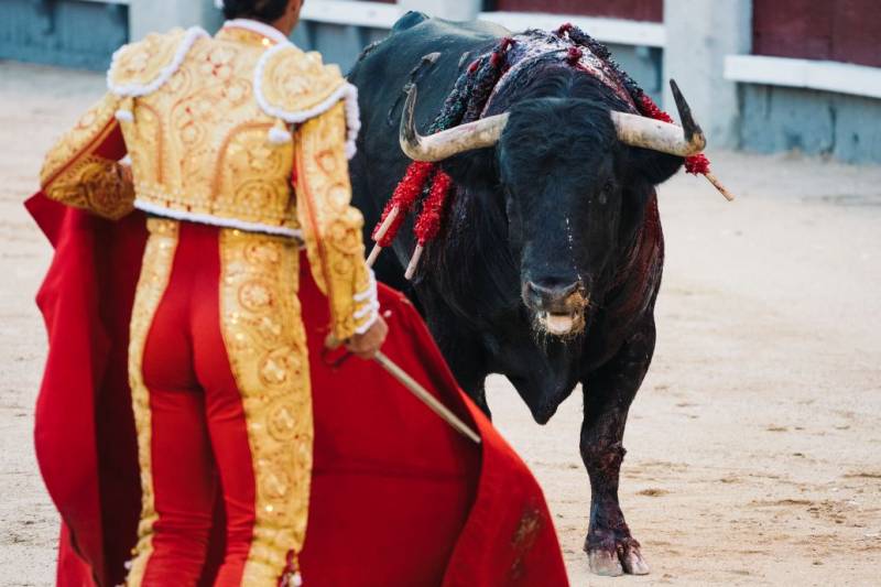 <span style='color:#780948'>ARCHIVED</span> - Murcia pumps 60,000 euros into training new bullfighters