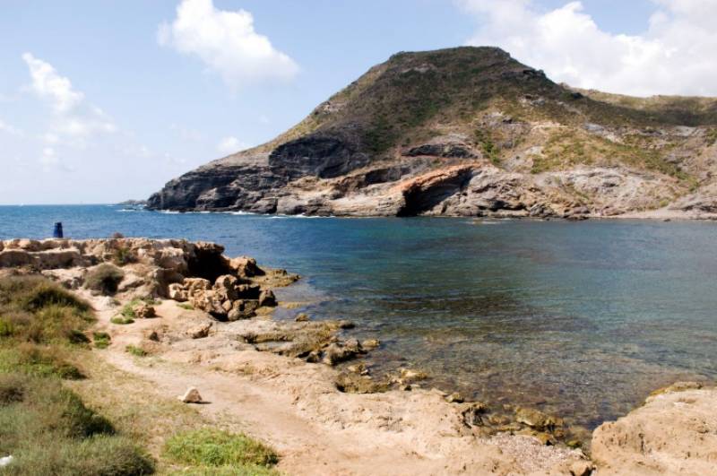 ! Camposol Today - Cala Reona Beach Reopens As Water Quality Improves