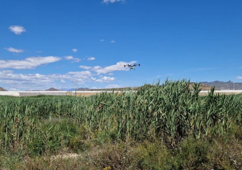 Mazarron brings in drones to tackle mosquitoes from the air