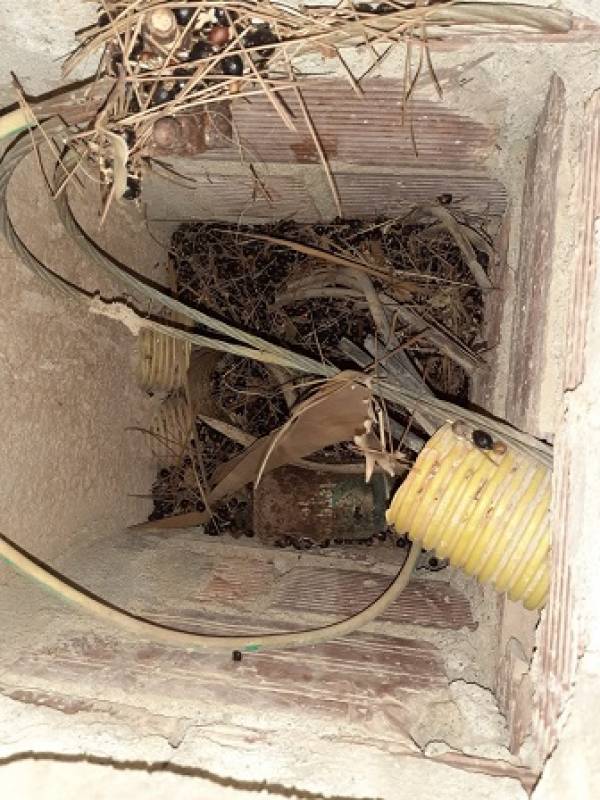 Organised Mazarron gang steals 300,000 euros worth of electrical power cable