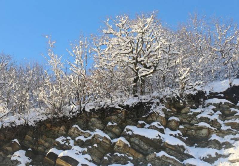 First snowfall of the year in Murcia