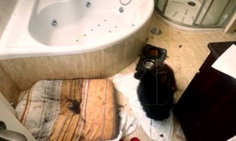 Children found in horrific conditions in Asturias after years of isolation