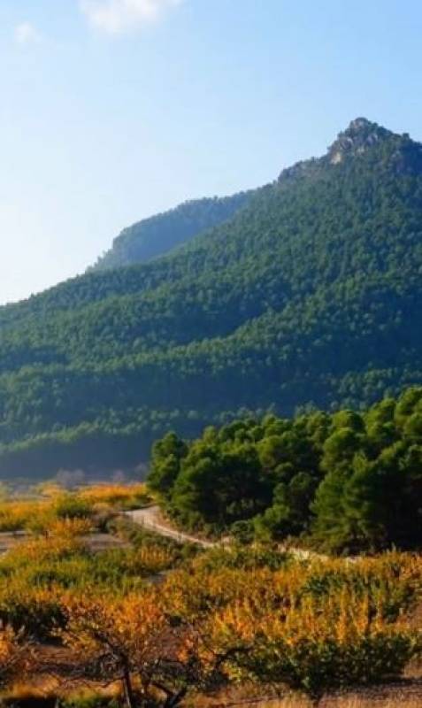 Round off summer with unique experiences and activities at Guatazales, Bullas