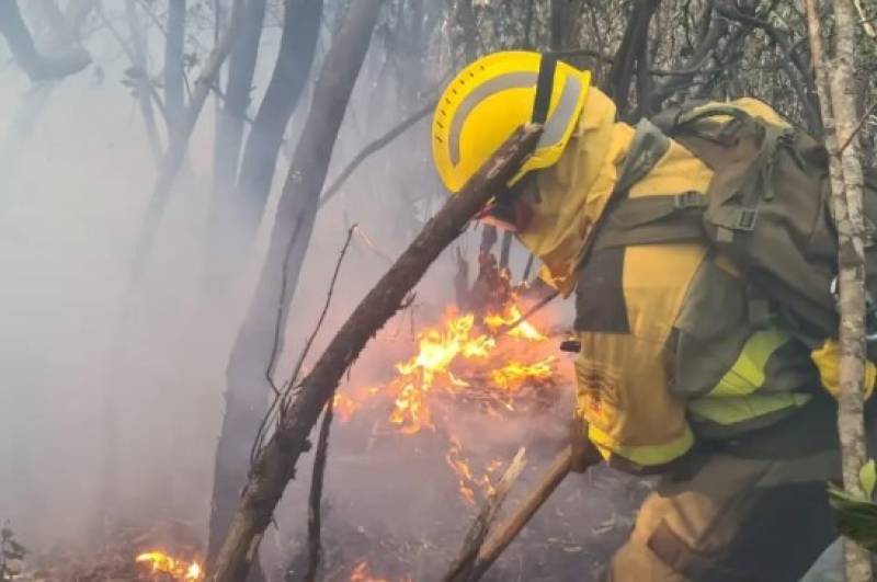 Spain’s worst wildfire season in decades leaves scars for people, land and firefighters