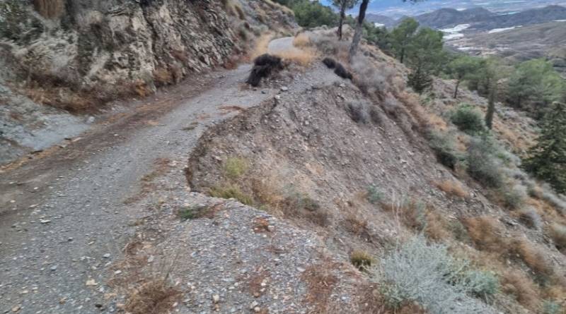 Murcia steps up fire prevention as forests face drought and pest outbreaks