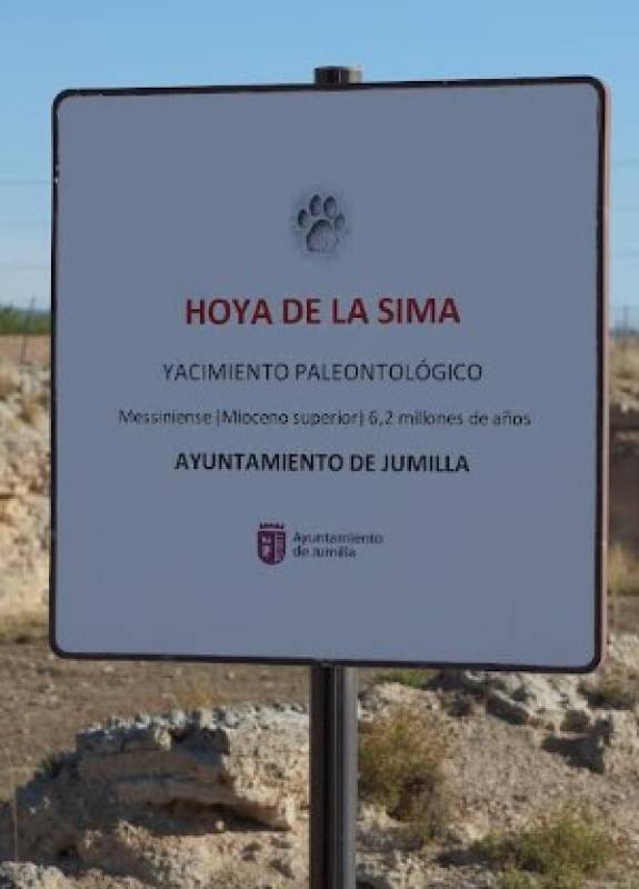 Jumilla's Hoya de la Sima fossil site takes a big step toward official cultural protection