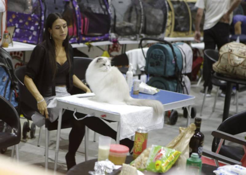 November 8 and 9 Discounted admission to the annual Dog Show and Pet Fair at the at the IFEPA exhibition centre in Torre Pacheco