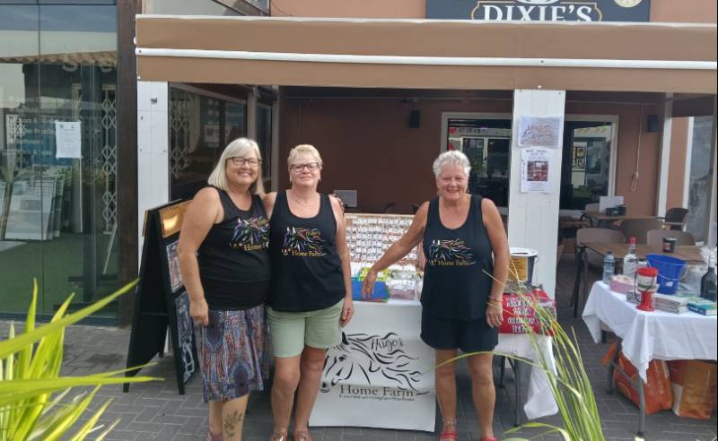 Camposol volunteers raise €1,000 for Hugo's Home Farm animal rescue