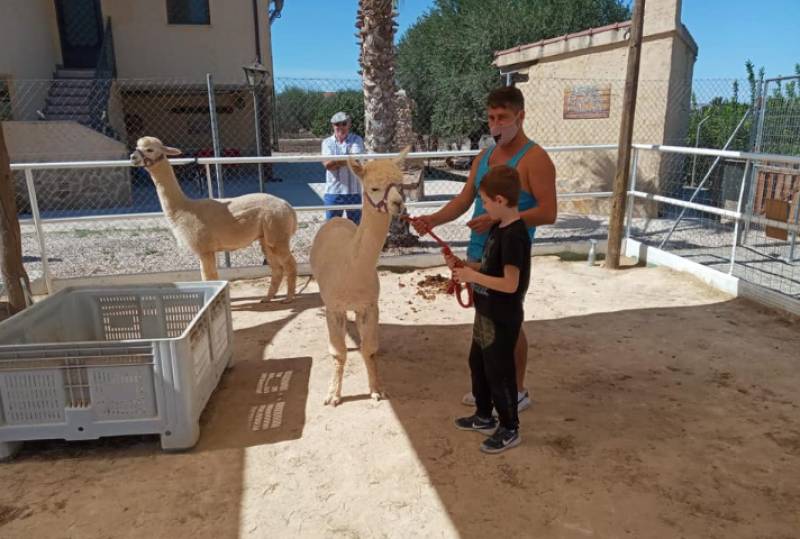 Camposol volunteers raise €1,000 for Hugo's Home Farm animal rescue