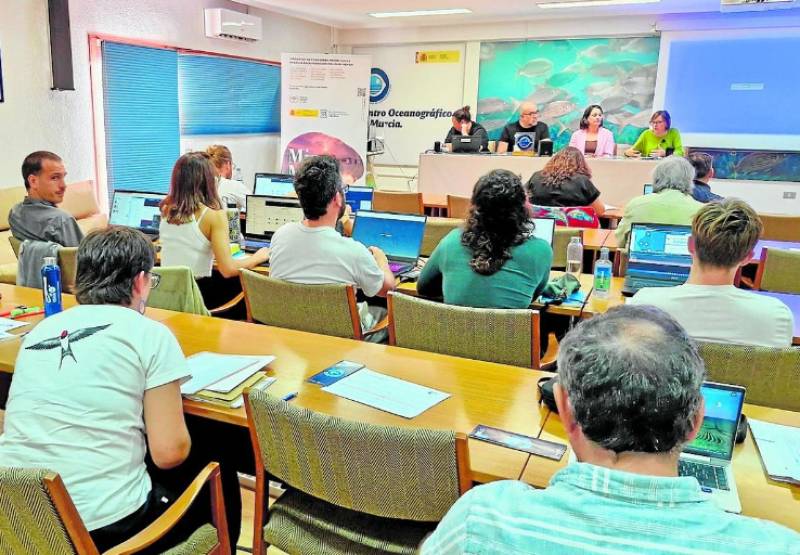 The silent threat pushing the Mar Menor towards collapse