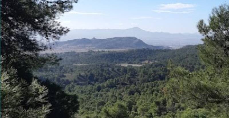 Discover La Murta, Murcia's tiniest village with a big heart