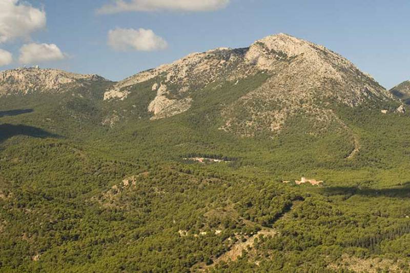 Murcia's nature reserves see visitor boom in 2025