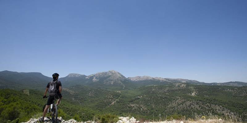 The Region of Murcia, paradise for cyclists!