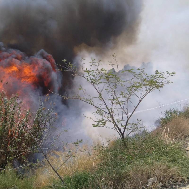 Murcia wildfire brought under control after burning 18 hectares along the River Segura