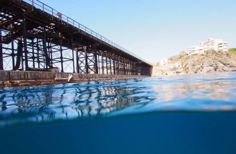 Dive beneath Águilas' iconic Hornillo Pier and discover a hidden underwater world