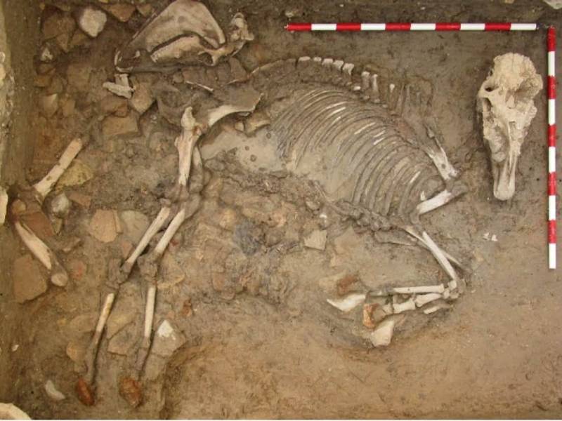 Archaeologists uncover more secrets beneath Murcia's San Esteban