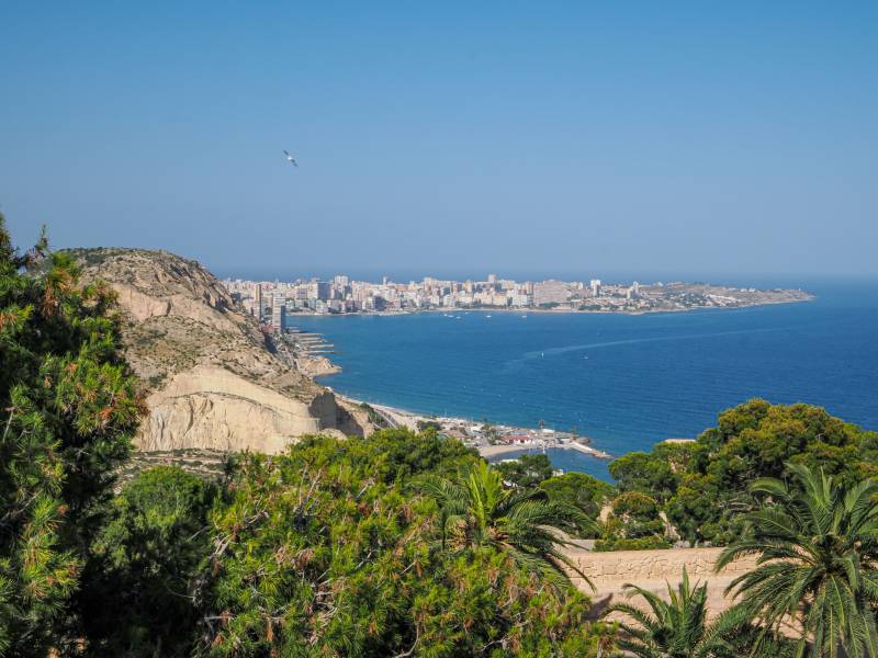 Alicante tourism reaches post-pandemic high in July