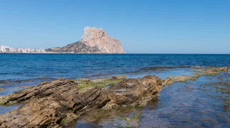 Alicante’s natural parks enjoy a bumper summer